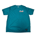 D3mb0y5 Phins' State Aqua Legacy Moisture-Wicking Tee