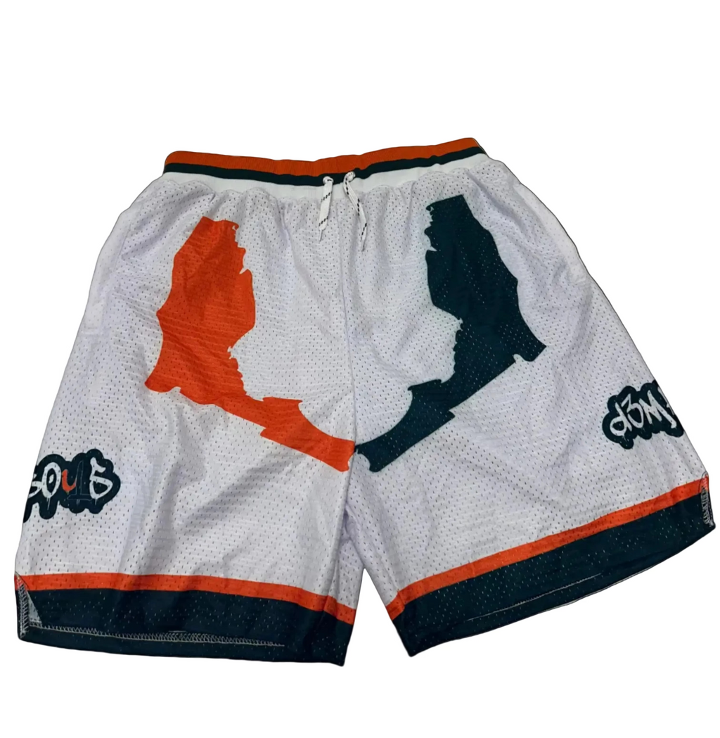 State of The U Shorts